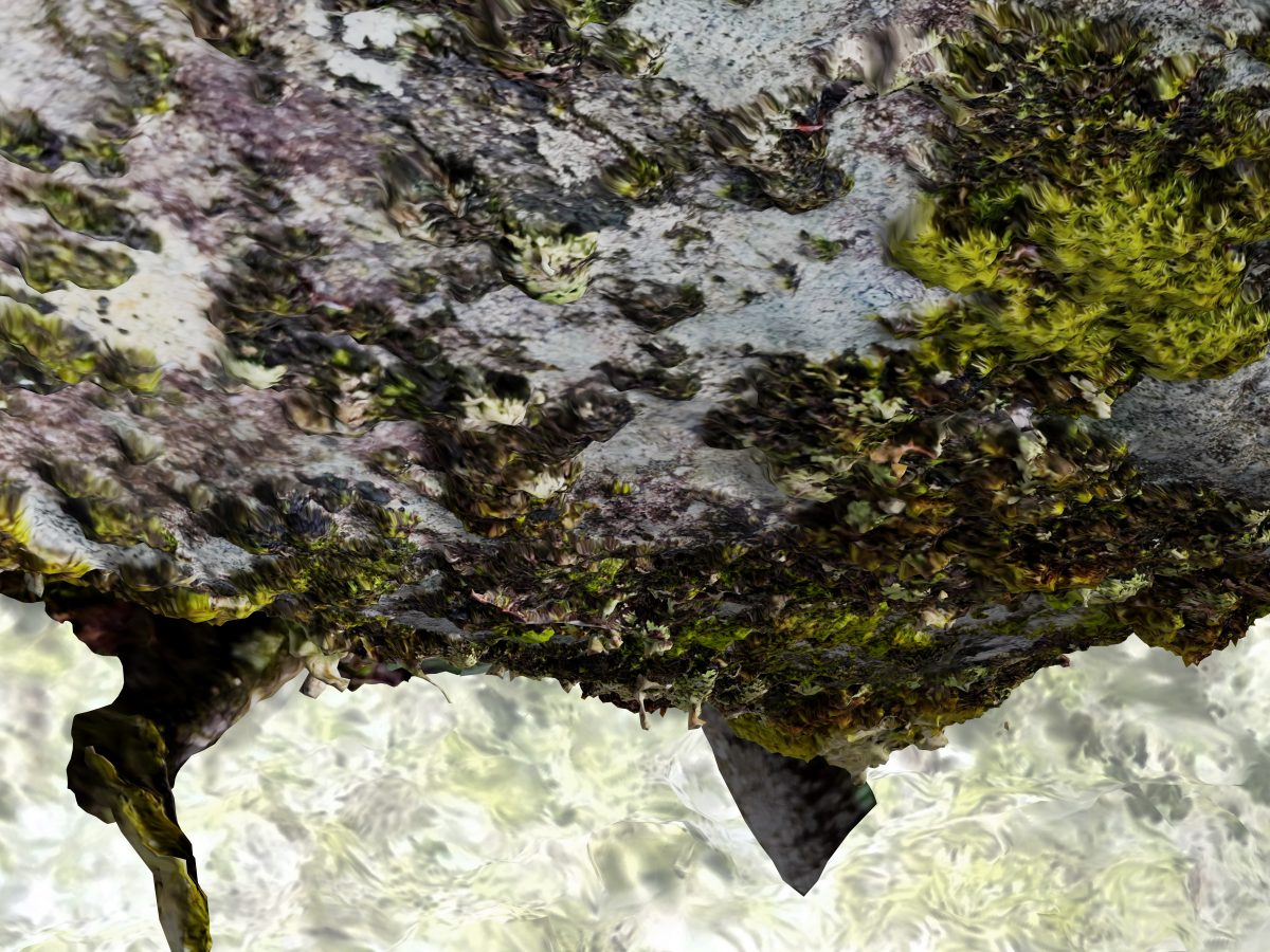 Åse Løvgren – Print from 3d object, 2022, 60x60 cm in frame, photogrammetry of moss and lichen in Øystese